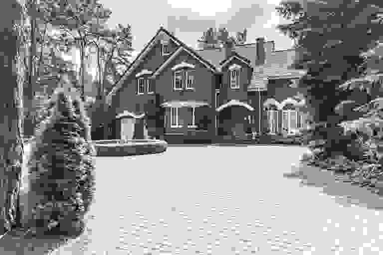 professional tree service company in Bismarck North Dakota