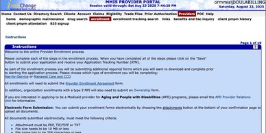 Screenshot of MMIS Provider Portal login and instructions page.