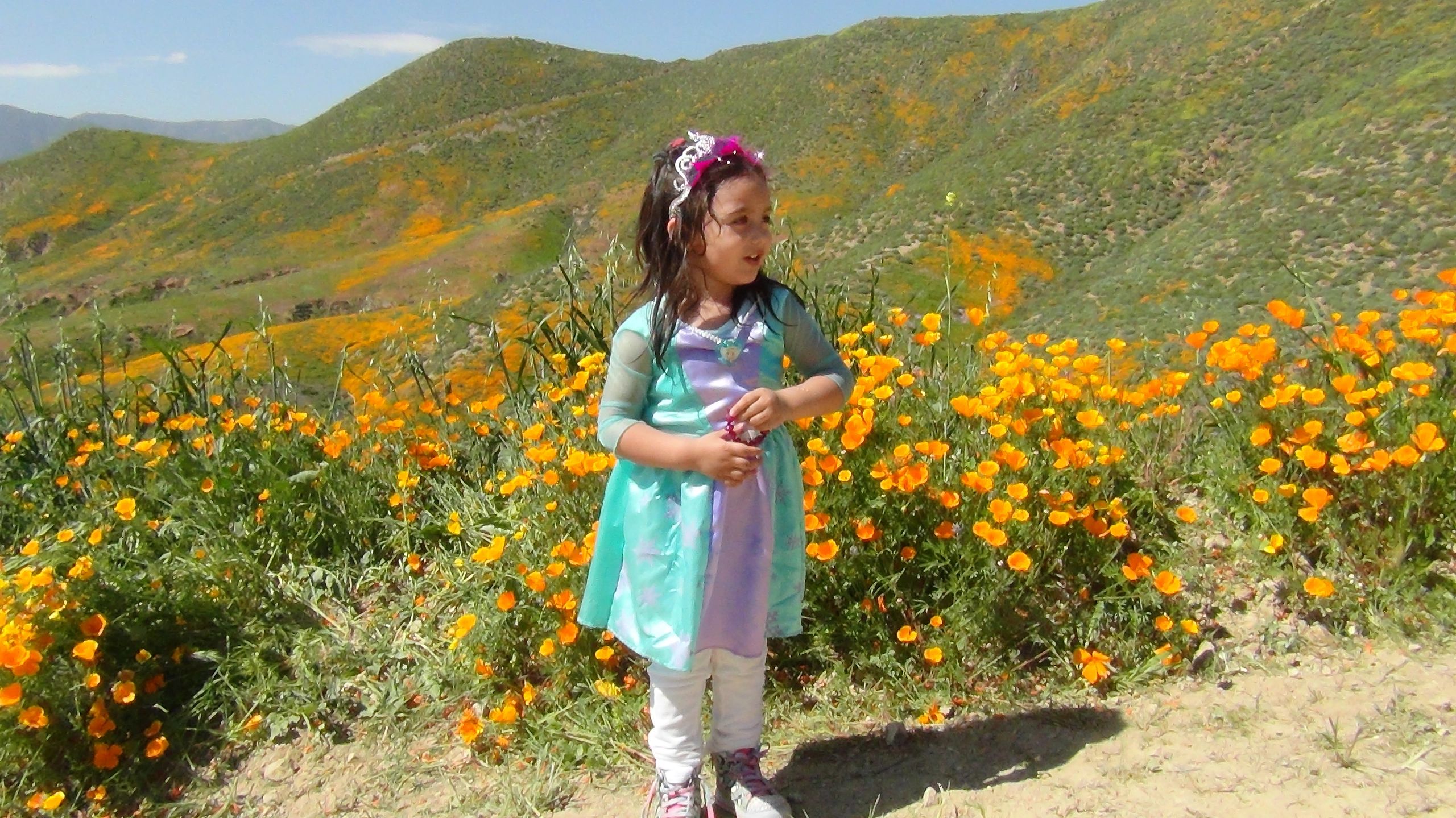 RV and Off Road Towed Vehicle Cover, Motorhome Bra, Protect a Tow