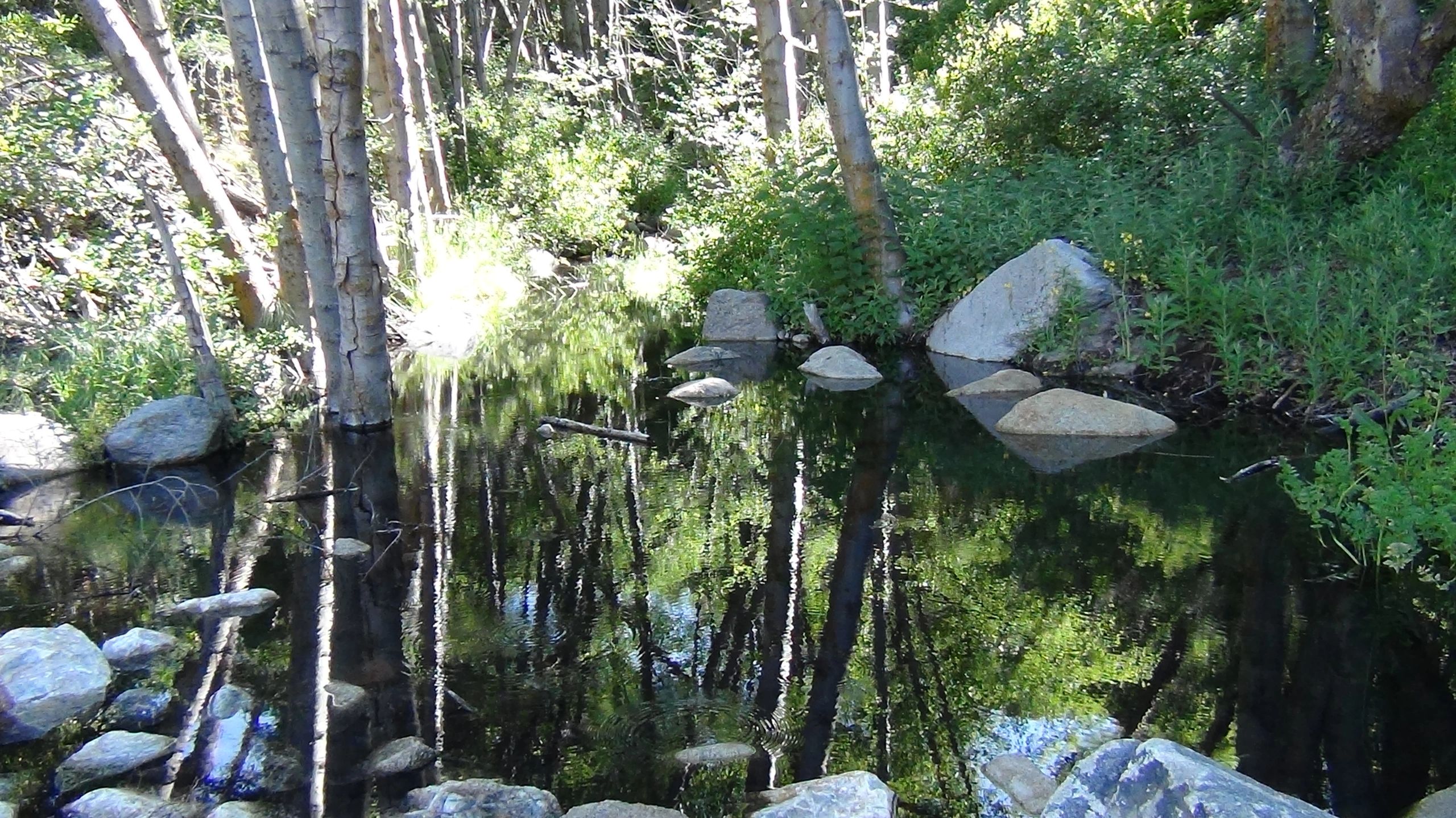 RV and Off Road Towed Vehicle Cover, Motorhome Bra, Protect a Tow