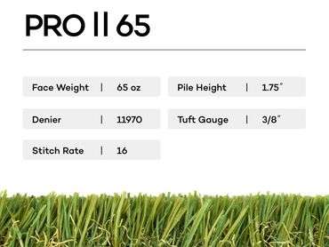 Pro Turf II 65 oz Landscaping Turf - Fresh St. Augustine