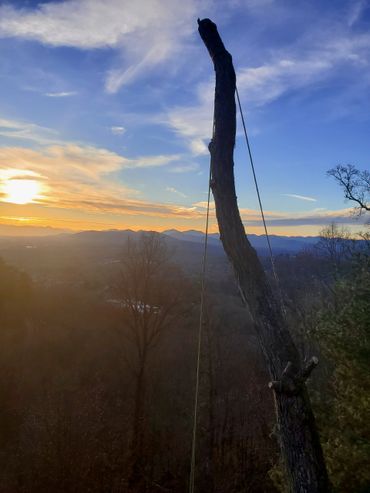 Sunset behind a mountainous landscape with a tall tree trunk in the foreground.