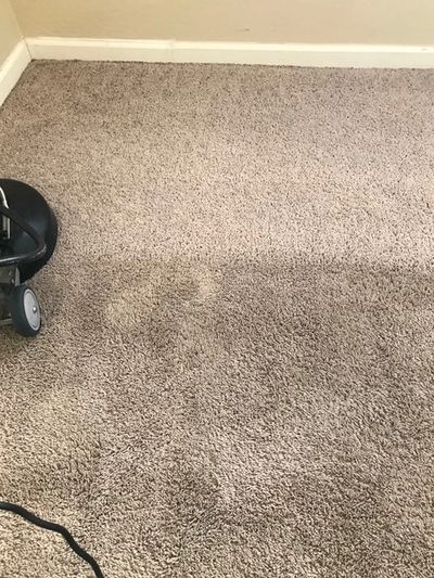 A dirty carpet being vacuumed