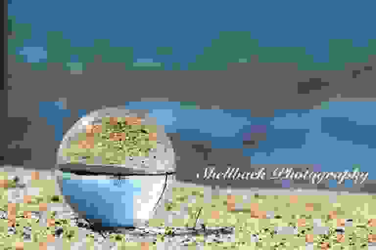 image23