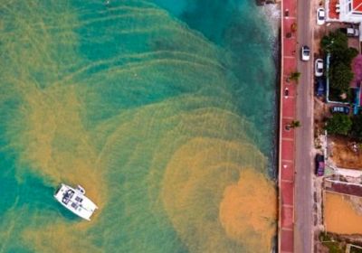 A boat sails through water with a swirling brown sediment pattern near a coastal road.