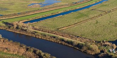 carlton marshes