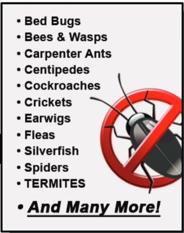 We service Ants, Spiders, Roaches and Mice and many more