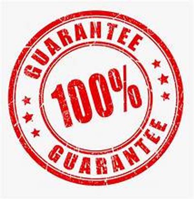 Disgo Fair Entertainment Guarantee DisgoMagic.com fun for the entire family Wild West Show