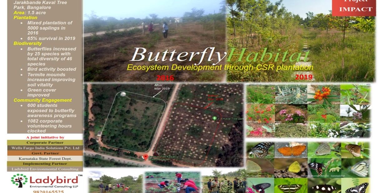 Butterfly Habitat at Jarakbande Kaval Tree Park,Bangalore-Project by Wells Fargo India Solutions PL