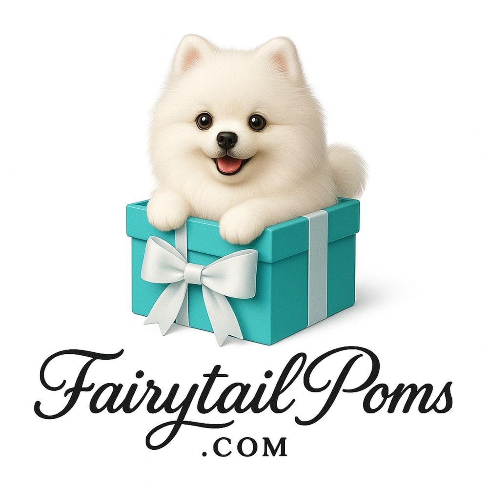 A cute white Pomeranian puppy in a turquoise gift box with a white ribbon.
