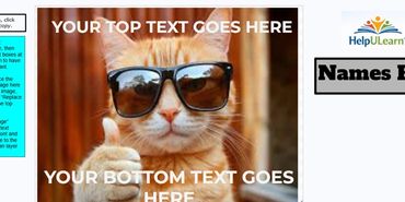 A meme template featuring a cat with sunglasses giving a thumbs up.