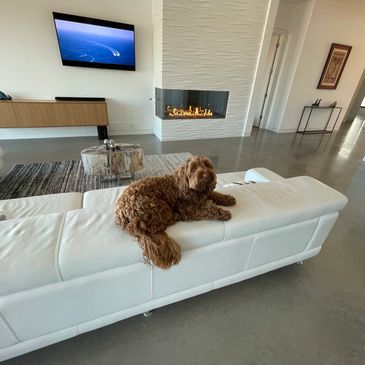 Low maintenance cost concrete floors and residential flooring for homes, apartments, lofts, and resi