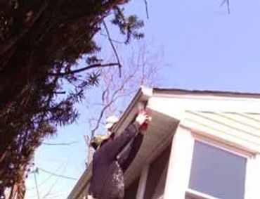 Water Tight Gutters, Inc.