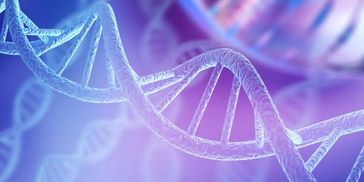 DNA Graphic