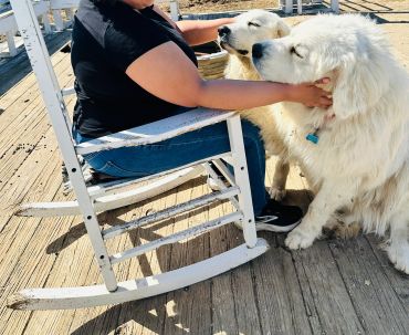 lady with two Great Pyrenees dogs for mental health therapy