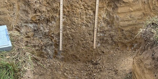 Excavated soil profile with measuring sticks and pink flags marking the area.