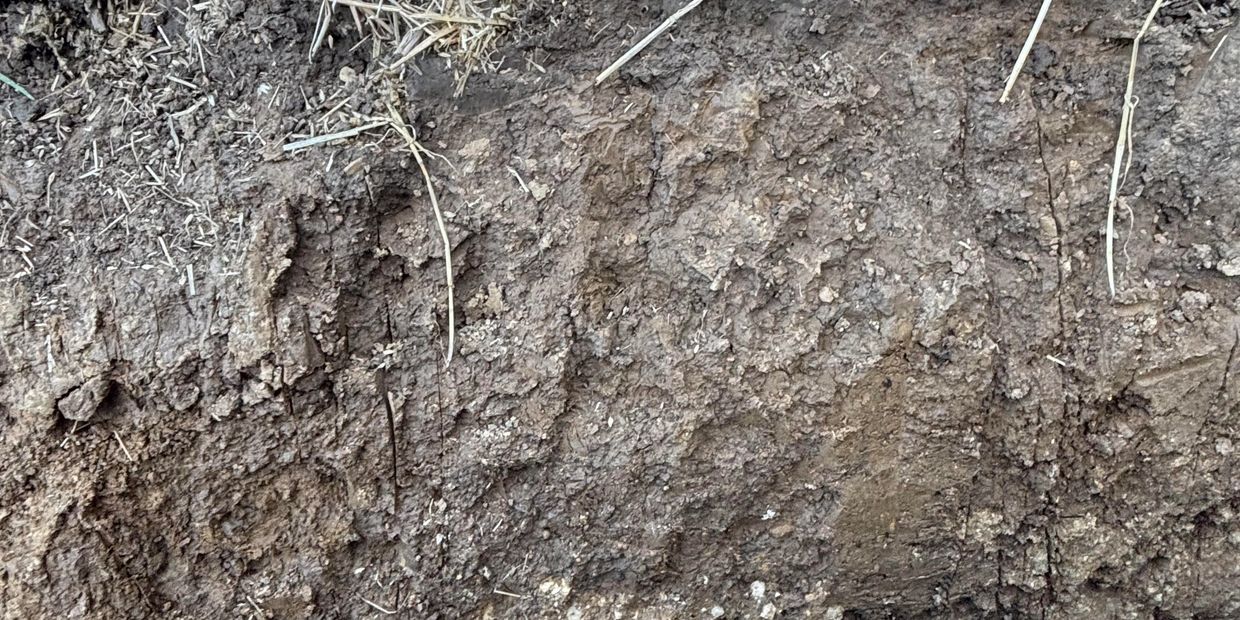 A freshly dug soil pit in a grassy field with tools and people in the background.