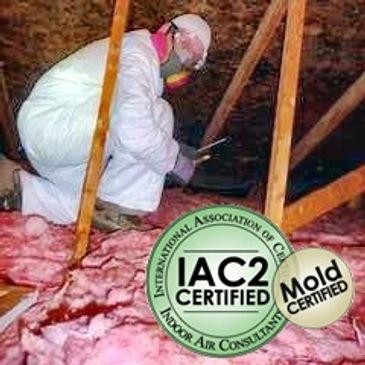 Mold inspection in attic and taking sample for analysis.  Call 734-64-5853 to schedule  mold testing
