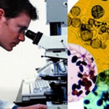 AIHA accredited and licensed Laboratory. Call 734-664-5853 to schedule testing.