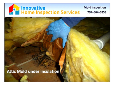 Mold under attic insulation, contact Innovative Home Inspection Canton MI