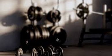 Dumbbells and weight plates arranged in a gym with soft lighting.
