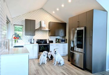 Timea Design kitchen Salt Spring Island