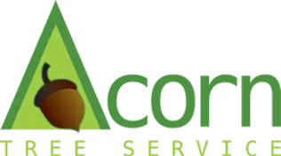 Acorn Tree service