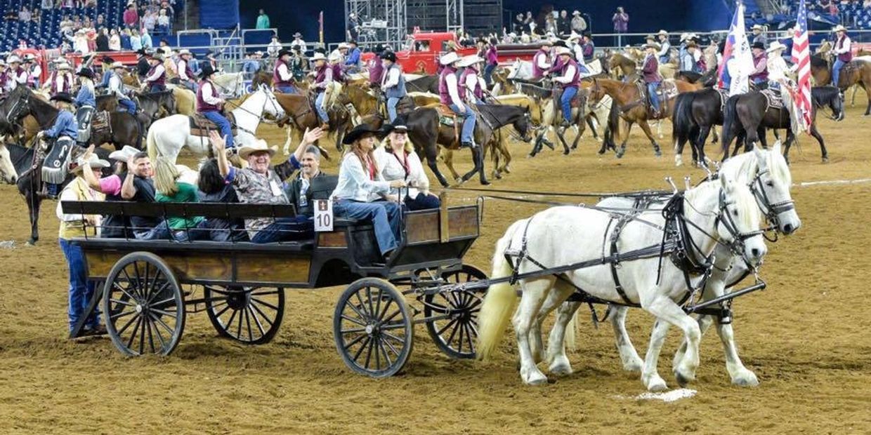 Chief and Molly pulling the wagonette in the Grand Entry of the Houston Livestock Show and rodeo.