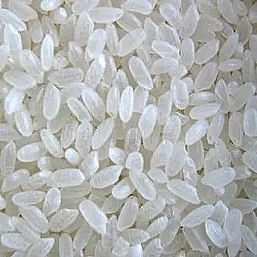 Round Gain White Rice