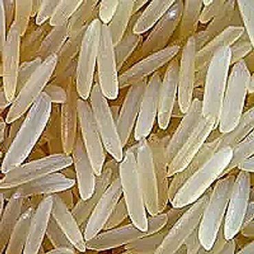 1121 XXL Long Grain Premium Basmati Rice