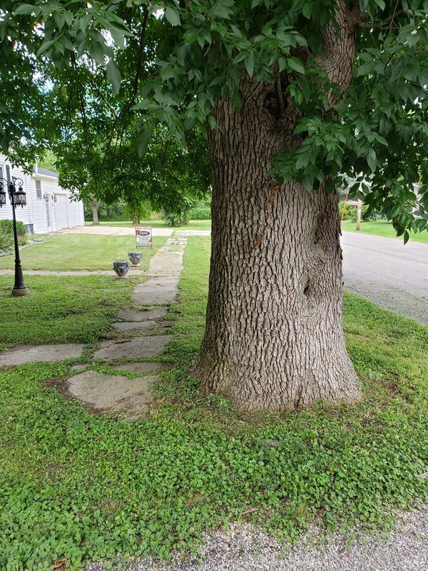 Another example of our attention to trimmer detail.  This was taken in Donnellson, Iowa.