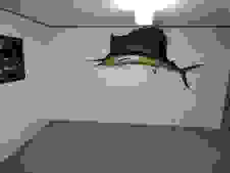 image50