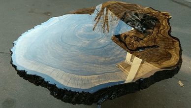A polished wooden slab with a reflective, glossy surface showing tree rings and reflections.