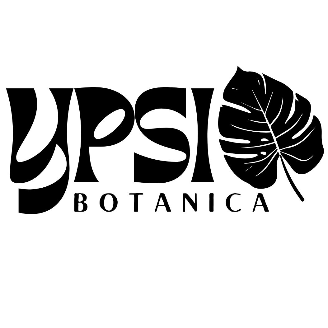 Black and white logo for Ypsi Botanica with a leaf graphic.
