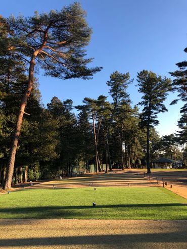 Specialist turf system developed in Japan to allow for year round green and functional Tee areas