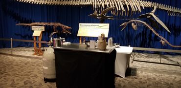 Private Island Ice Cream at the Orlando Science Center