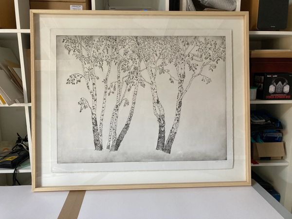 Limited edition etching - Silver Birches -  by Peter Chadwick of |Sudbourne Park Printmakers