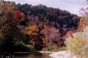 The autumn colors of Steeleville