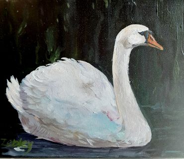 Swan oil painting