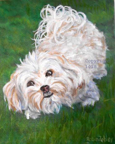 Custom Pet Portrait Painter