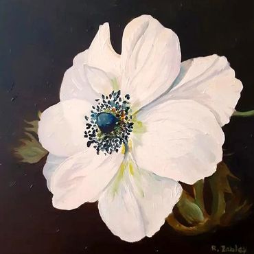 Black and white anemone flower