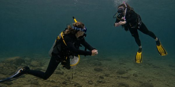 Two scuba divers underwater