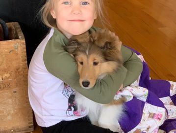 Puppies available