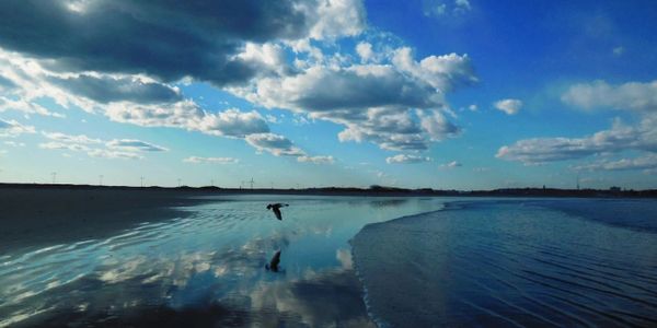 A beautiful view if the blue sky and water with a bird