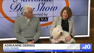Adrianne and T-Pup promoting the National Dog Show with host John O’Hurley