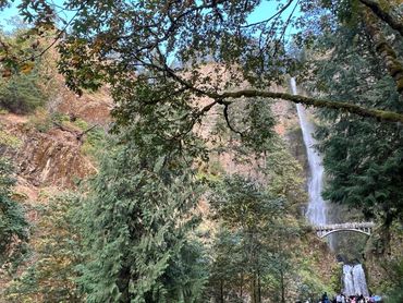 Tall waterfall with a bridge surrounded by lush forest.