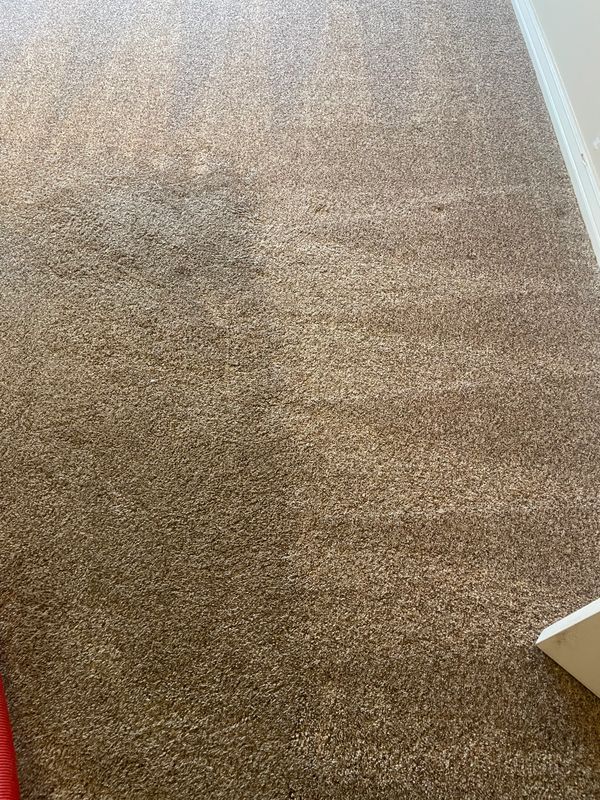 Dirty and clean residential carpet