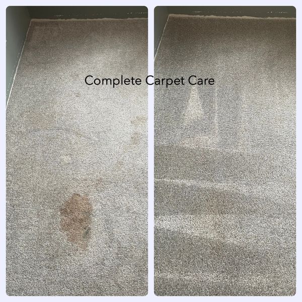 Before and after dirty and clean residential carpet with pet stain