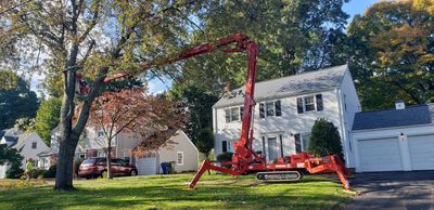 Tree Services in West Hartford 
Tree Services in Avon
Tree Services in FArmington
Tree Services CT