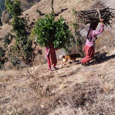 Forest as resource for Local people